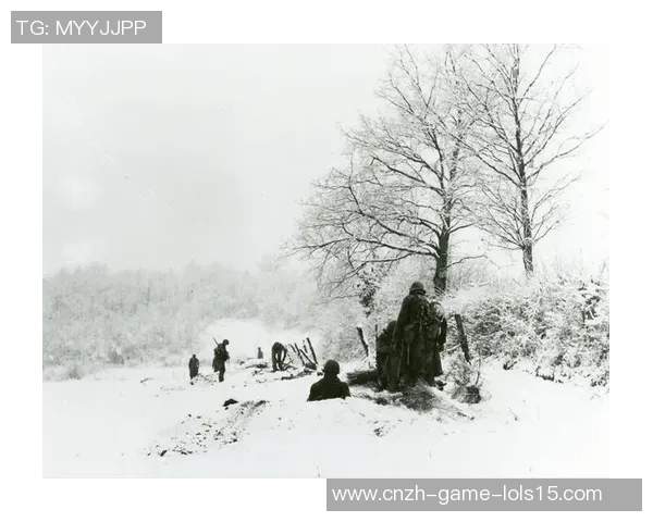 伐木者在新英格兰的挑战与机遇探讨：一场关于勇气与智慧的较量