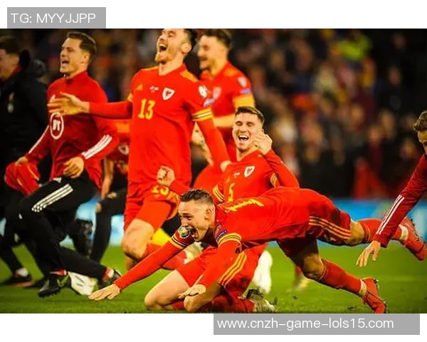 威尔士与芬兰精彩对决视频回顾及赛后分析